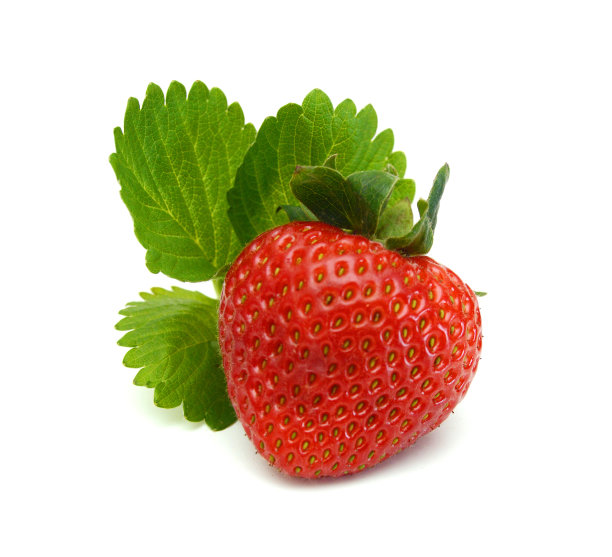 鲜红成熟的草莓孤立在白色上，微距图像图片下载