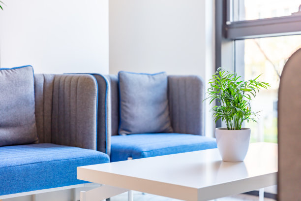大堂靠窗的接待区有绿色植物和舒适的沙发，木桌图片下载