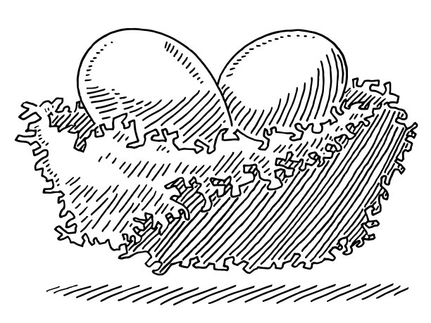 鸟巢两个蛋画图片下载