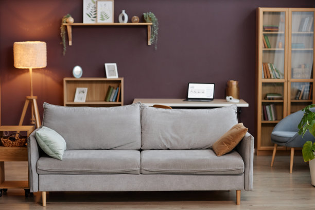 最小的家庭内部与舒适的灰色沙发在客厅图片下载