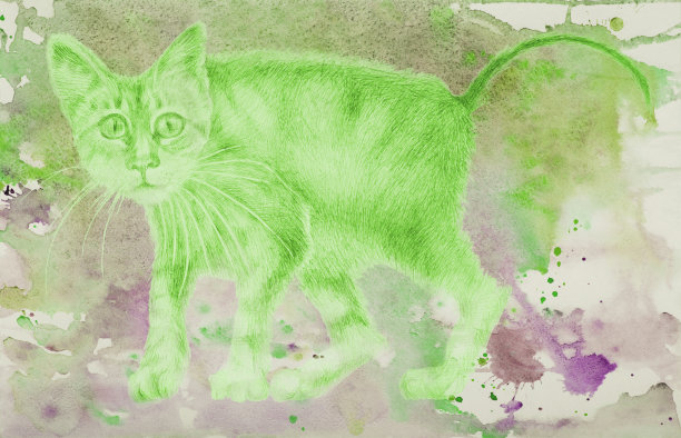 插图动物猫画与水彩画小猫弓背在一个抽象的背景上扩散水彩画在绿色图片下载
