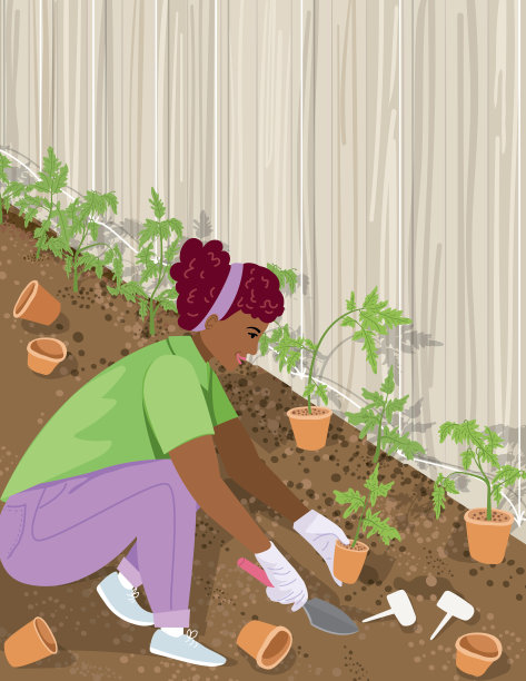 一个女人在她的花园里种菜图片下载