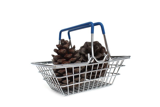 在一个微型购物篮里有两个松果。图片下载