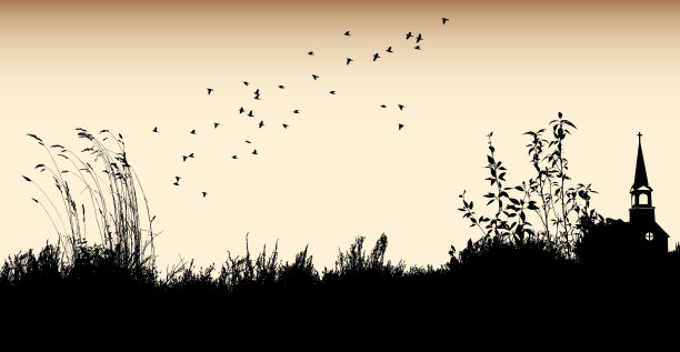 的景观图片下载