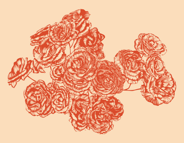 玫瑰矢量图。树枝上有许多花，米色背景图片下载