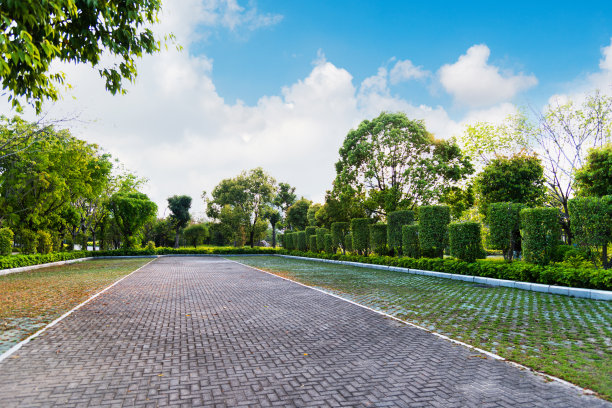 有绿色植物的空旷停车场图片下载