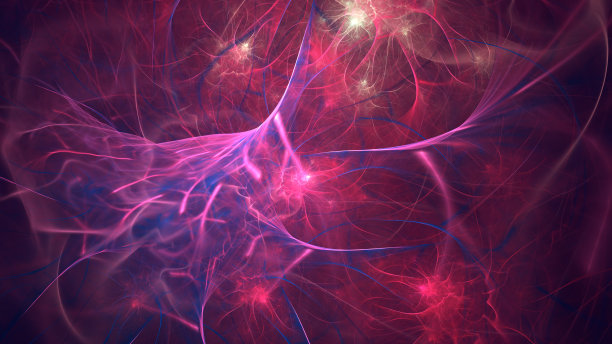 神经网络，神经系统。图片下载