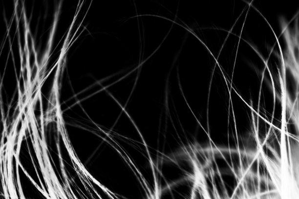 抽象风发纹理。背光剪影。图片下载