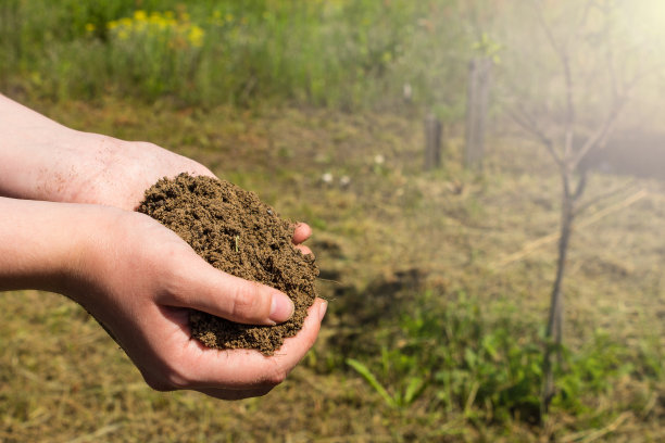 在一个模糊的背景上，人类的手握着一把棕色的土图片下载