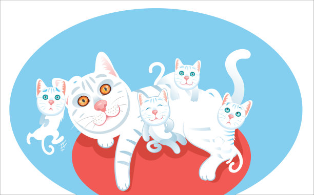 可爱的白猫和她的小猫在玩耍图片下载