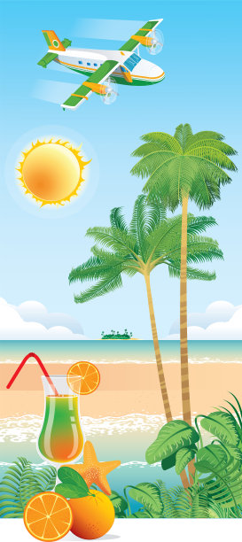 飞机飞过海滩图片下载