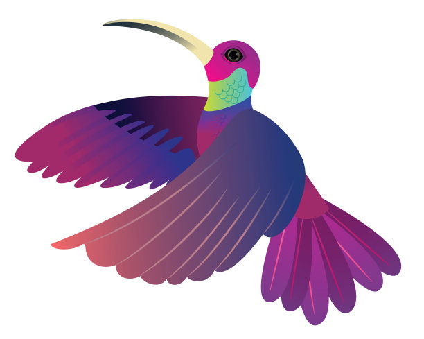 蜂鸟飞行图片下载