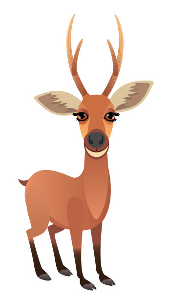 马什鹿（波斯托克鲁斯二分法）图片下载