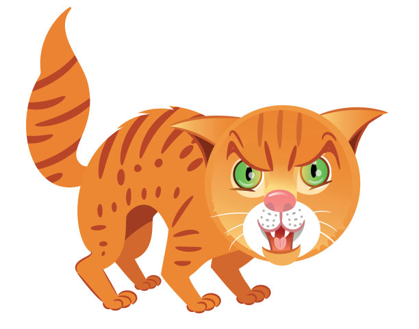 愤怒的猫图片下载