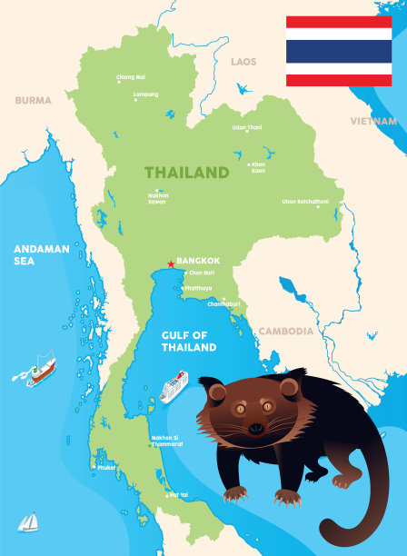 泰国和熊狸图片下载