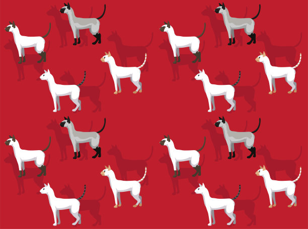 动物猫花色点短毛各种外套无缝壁纸背景图片下载