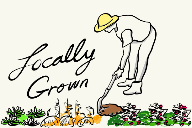 当地的蔬菜的园丁图片下载