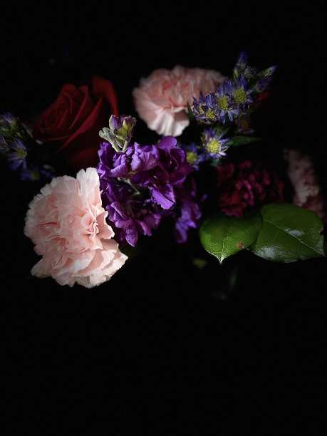工作室光效果花束玫瑰康乃馨孤立的黑色背景与复制空间图片下载