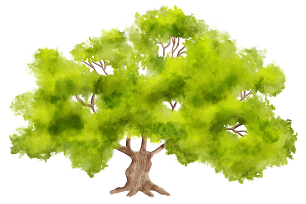 白色背景上的绿树水彩画图片下载