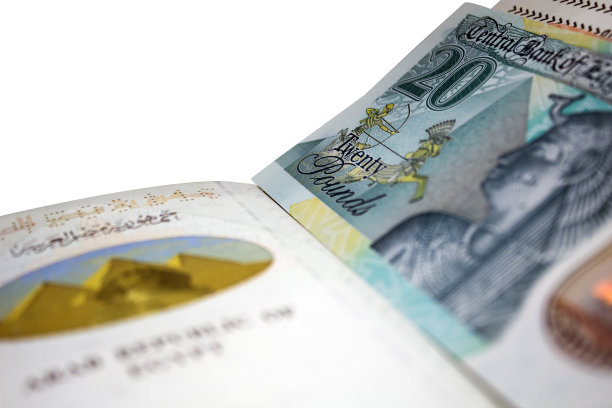 带有埃及护照的新埃及钞票图片下载