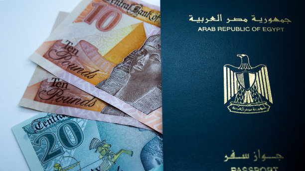 带有埃及护照的新埃及钞票图片下载
