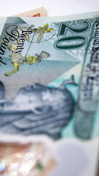 新埃及钞票图片下载