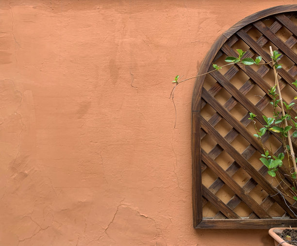 混凝土背景与木制栅栏，红色墙壁与植物图片下载