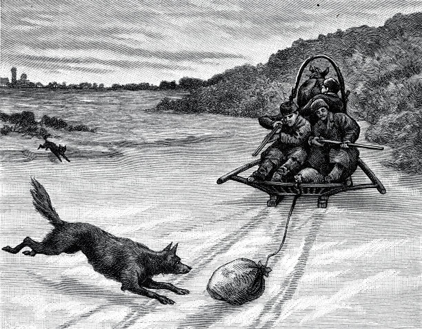 人们坐着雪橇猎狼图片下载