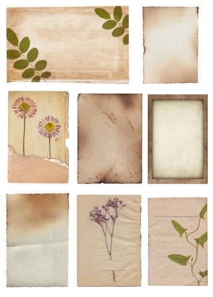 集旧各种复古粗糙纸与划痕、污迹和干枯植物纹理隔离图片下载
