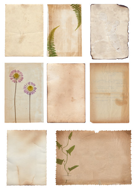 集旧各种复古粗糙纸与划痕、污迹和干枯植物纹理隔离图片下载