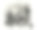 船长掌舵，女乘客，19世纪图片下载