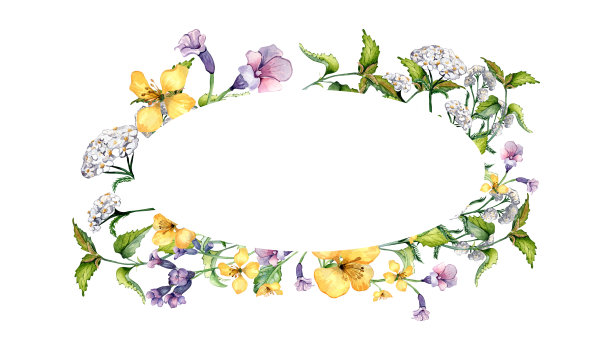 花环的野生药用植物，草药水彩插图孤立的白色背景。千叶阿喀琉斯、荨麻、肺草、celanine flower手绘。标签、包装、明信片设计图片下载