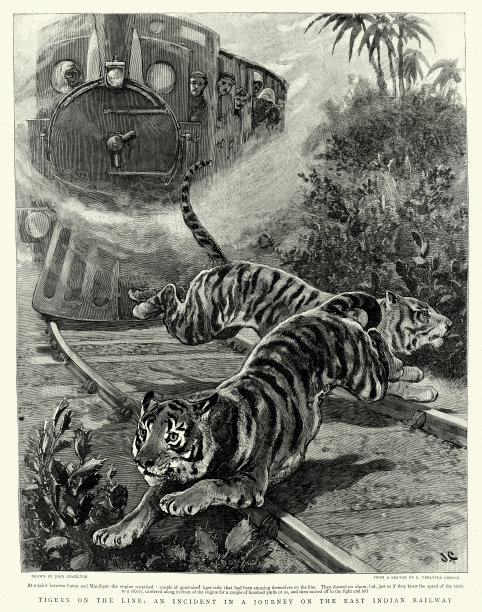 《线上的老虎》，《东印度铁路之旅》，1895年，19世纪图片下载