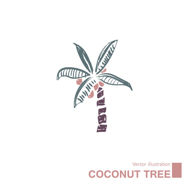 矢量绘制的椰子树。图片下载