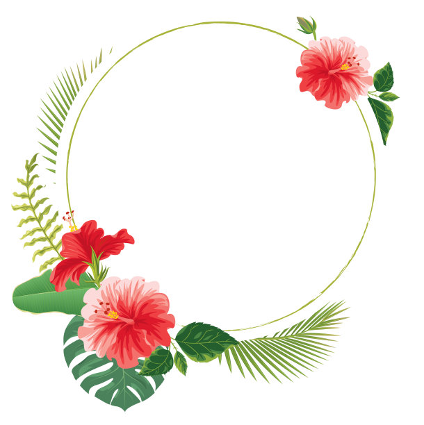 热带花卉背景图片下载