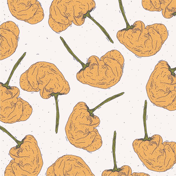 松树清新黄色辣椒图片下载