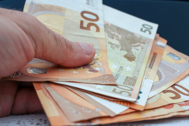 我手里拿着欧元钞票图片下载