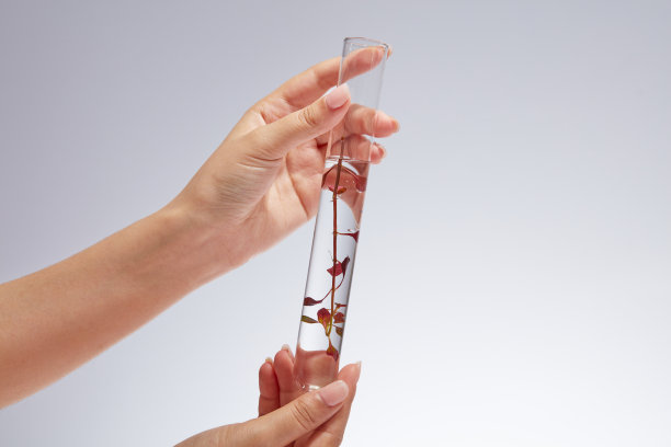 海藻的概念图片下载