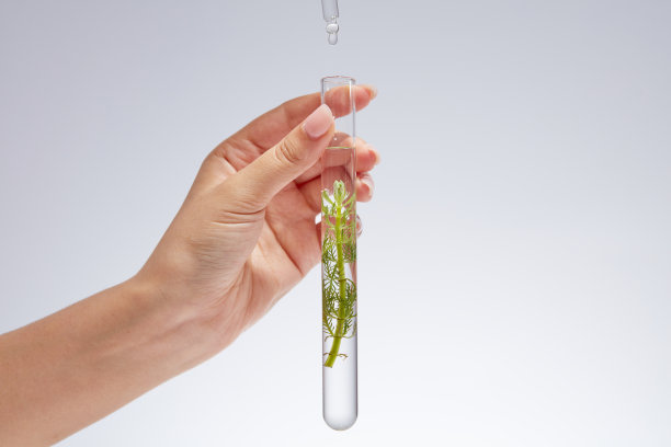 海藻的概念图片下载