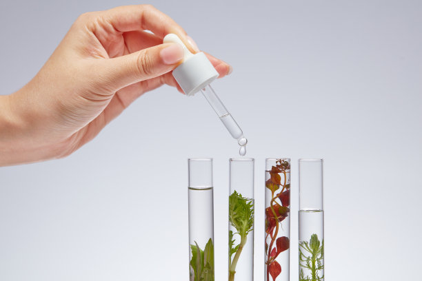 海藻的概念图片下载