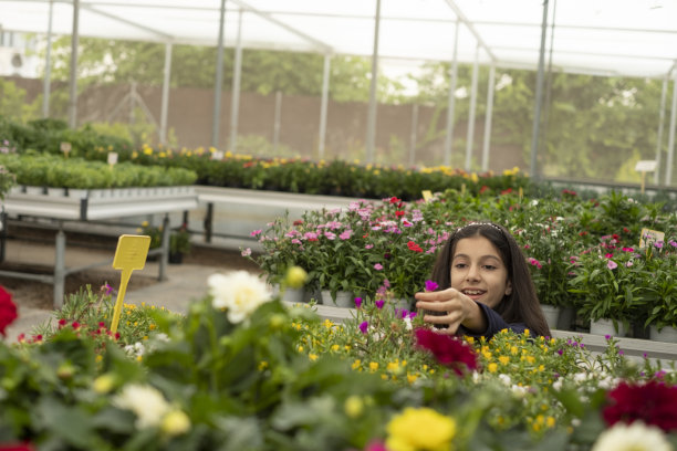 小女孩在温室里闻花图片下载