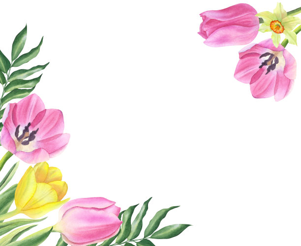 花卉框架与郁金香和叶子。水彩手绘。图片下载
