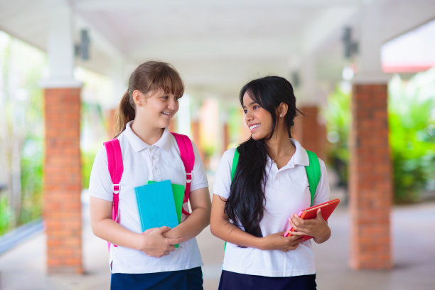 孩子们回到学校。一群孩子。图片下载