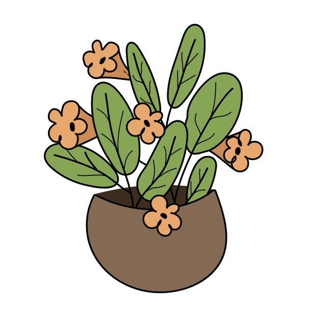 室内白色背景花盆里的花图片下载