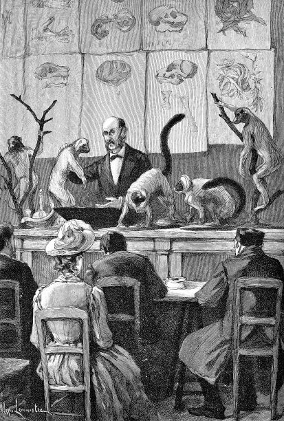 博物馆的动物学课程图片下载