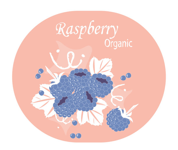 夏季图片蓝莓覆盆子在粉红色的背景矢量EPS10图片下载