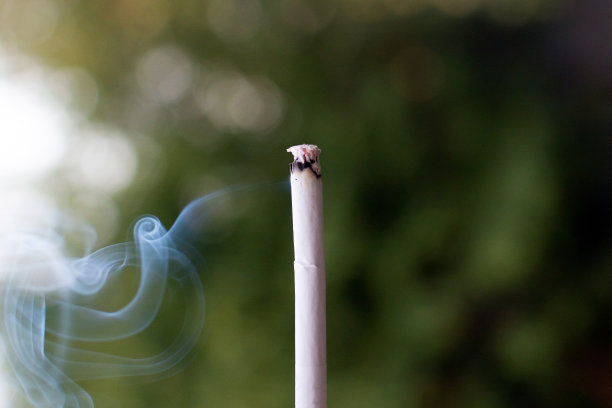 以自然为背景，闷燃着的香烟。图片下载