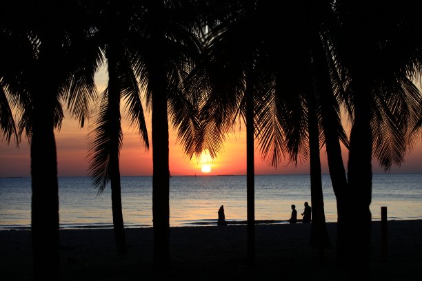 泰国邦肖恩，椰子树对着日落的海景。图片下载