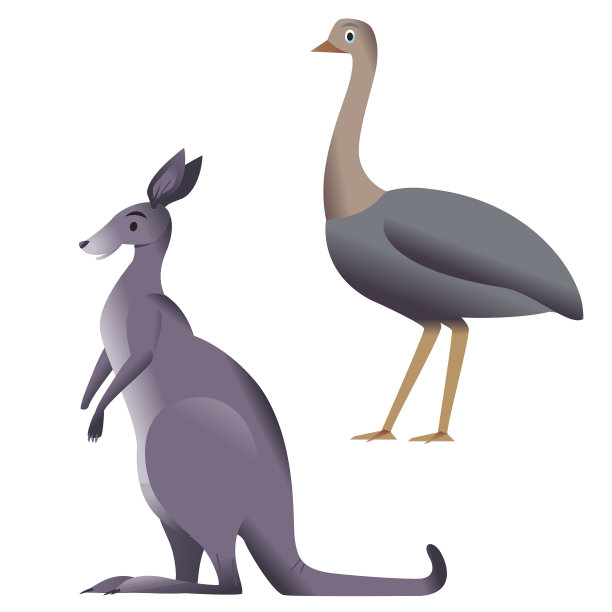 鸸鹋和袋鼠图片下载