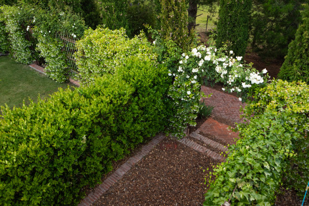 景观美化及园林设计图片下载